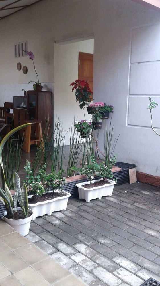 Pamularsih Homestay Yogyakarta Ngoại thất bức ảnh